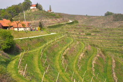 eika image
